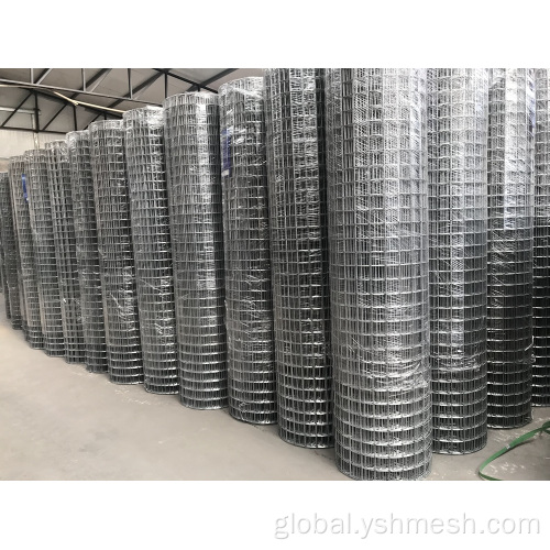 Galvanized Iron Wire Mesh Stainless Steel Galvanized Welded Wire Mesh Garden Fence Factory